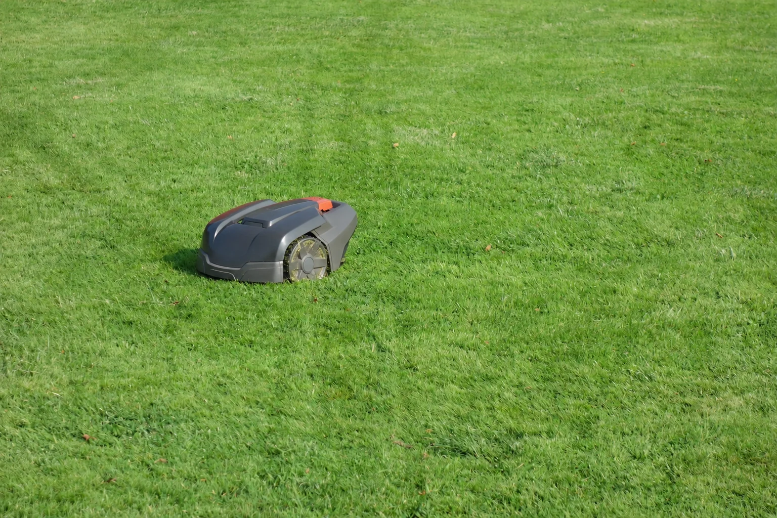 Mähroboter im Rasen - lizenzierte Symbolaufnahme, Herstellerkennzeichnungen retuschiert.