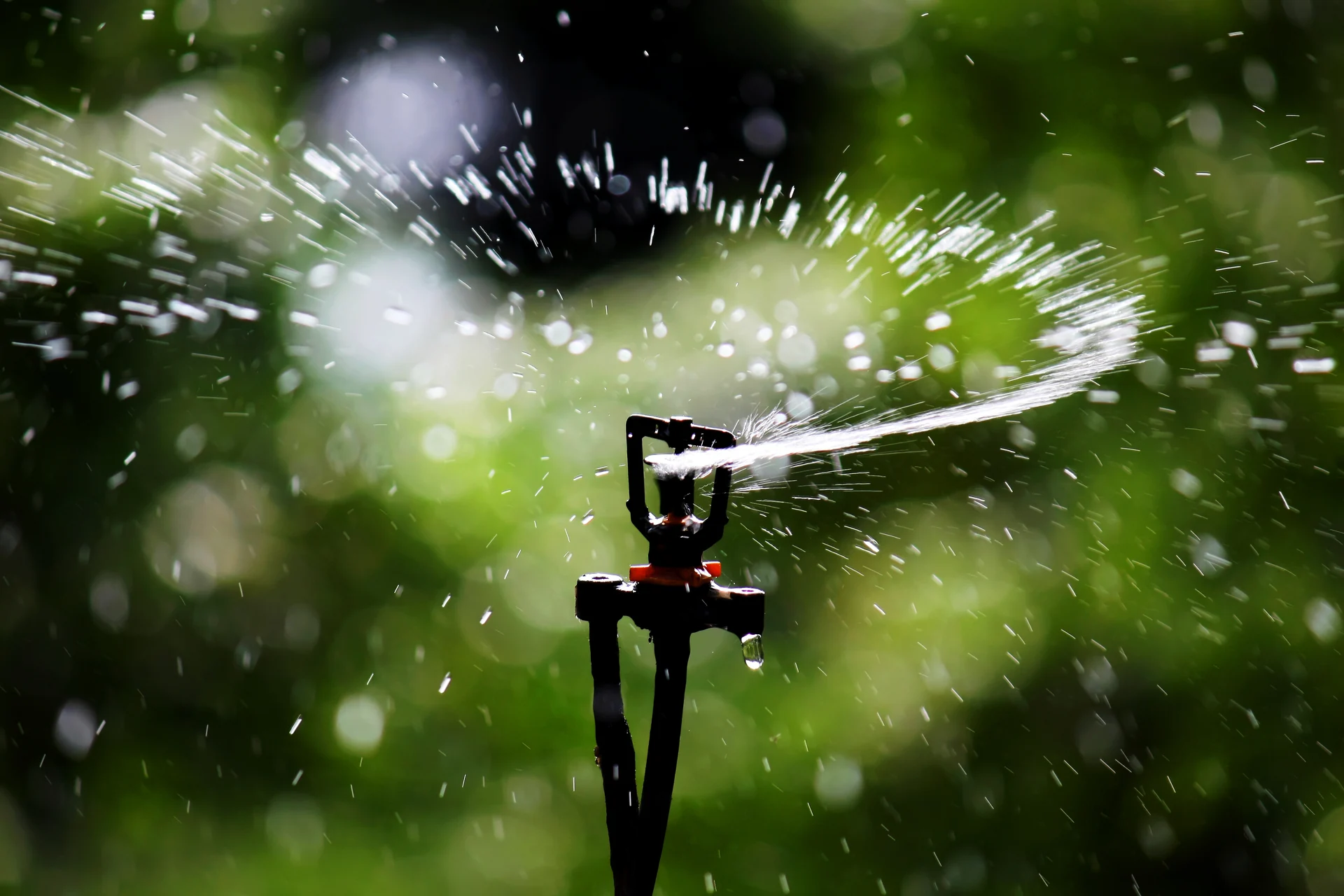 Realer Regner mit sichtbarer Wasserverteilung - lizenzierte Symbolaufnahme.